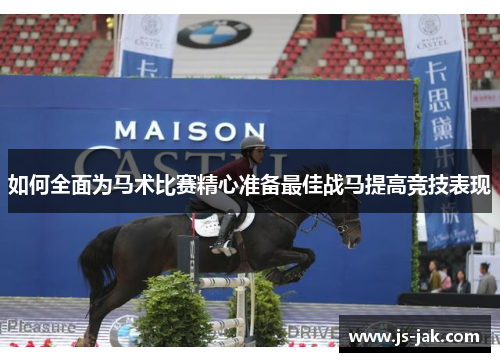 如何全面为马术比赛精心准备最佳战马提高竞技表现